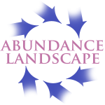 Transformation of your Abundance Landscape
